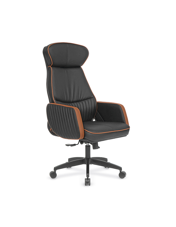 Nova Comfort Yönetici Koltuğu - Görsel 2