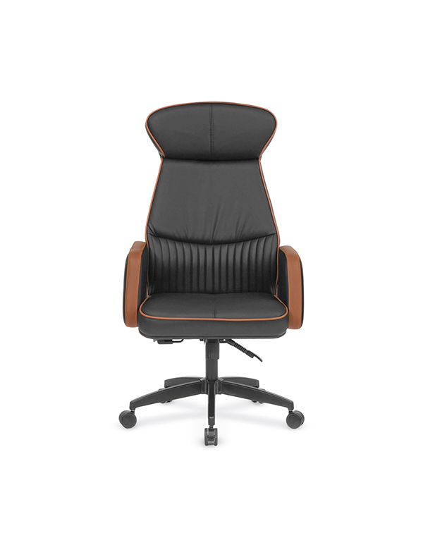 Nova Comfort Yönetici Koltuğu