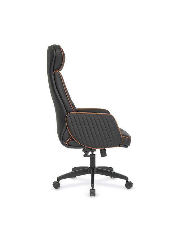 Nova Comfort Yönetici Koltuğu - Görsel 3